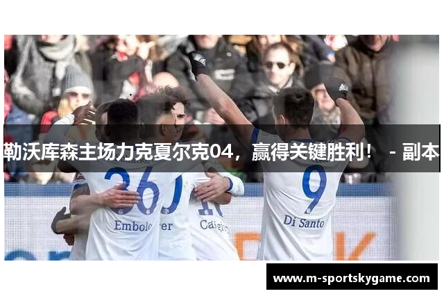 勒沃库森主场力克夏尔克04，赢得关键胜利！ - 副本