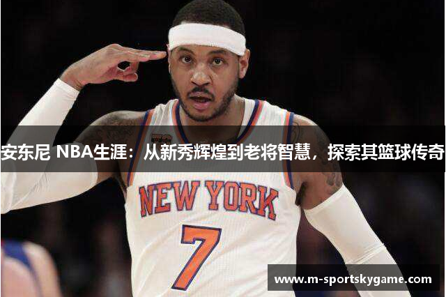 安东尼 NBA生涯：从新秀辉煌到老将智慧，探索其篮球传奇