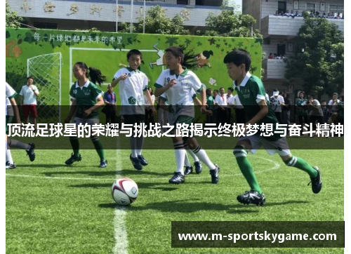 顶流足球星的荣耀与挑战之路揭示终极梦想与奋斗精神