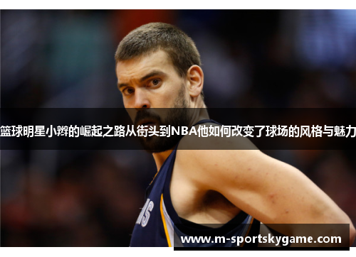 篮球明星小辫的崛起之路从街头到NBA他如何改变了球场的风格与魅力